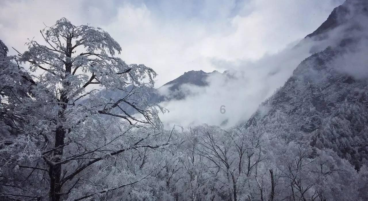 坐月子最难熬的事情是啥？看到第一条我就忍不了