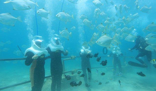 奇士达盘中异动 早盘股价大涨6.08%